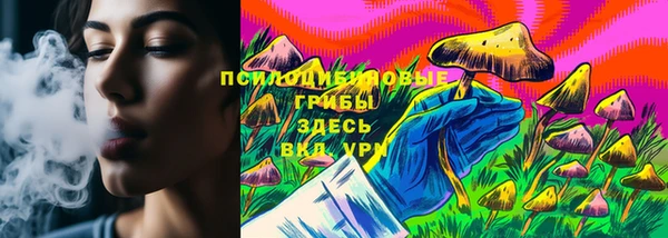 прущий лед Богданович