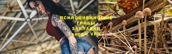 прущий лед Богданович