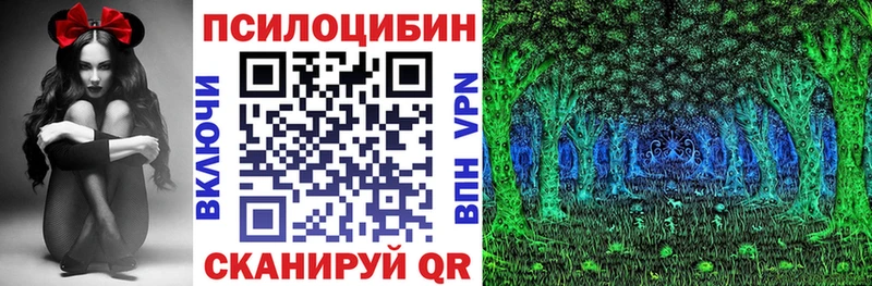 Галлюциногенные грибы Psilocybe  купить наркотики цена  Мичуринск 